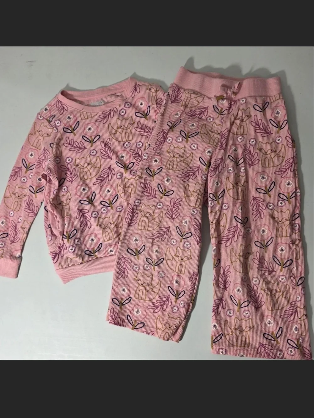 Garanimals Pink Fox & Floral Two-Piece Set